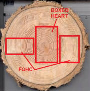 boxed heart and free of heart timbers